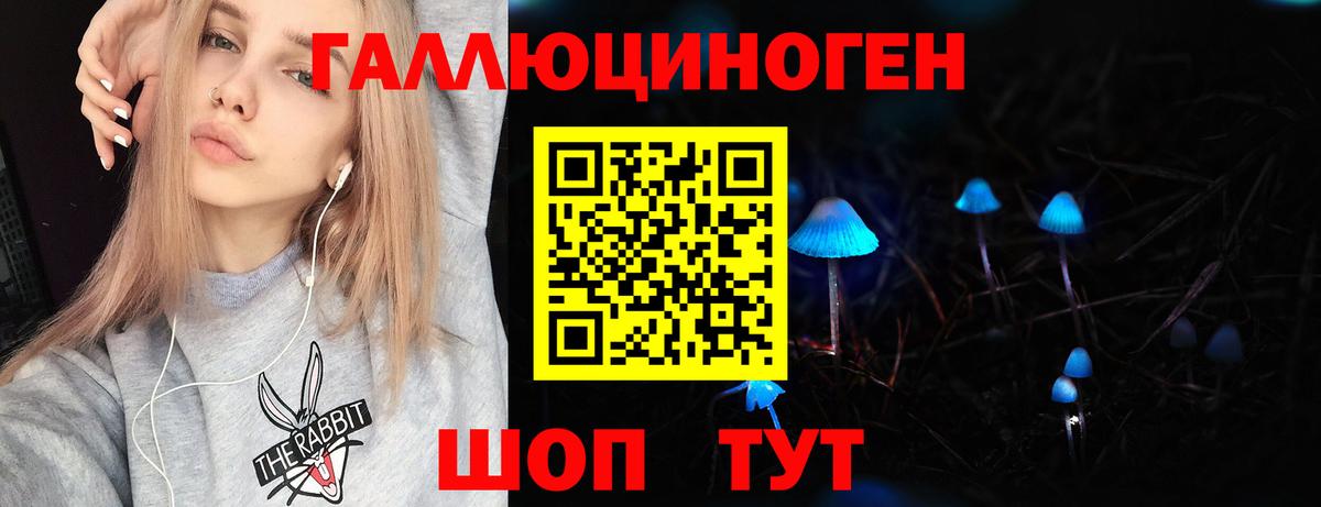 Псилоцибиновые грибы Psilocybe Заринск