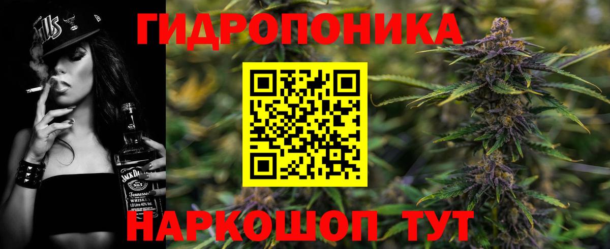 Шишки марихуана марихуана Заринск